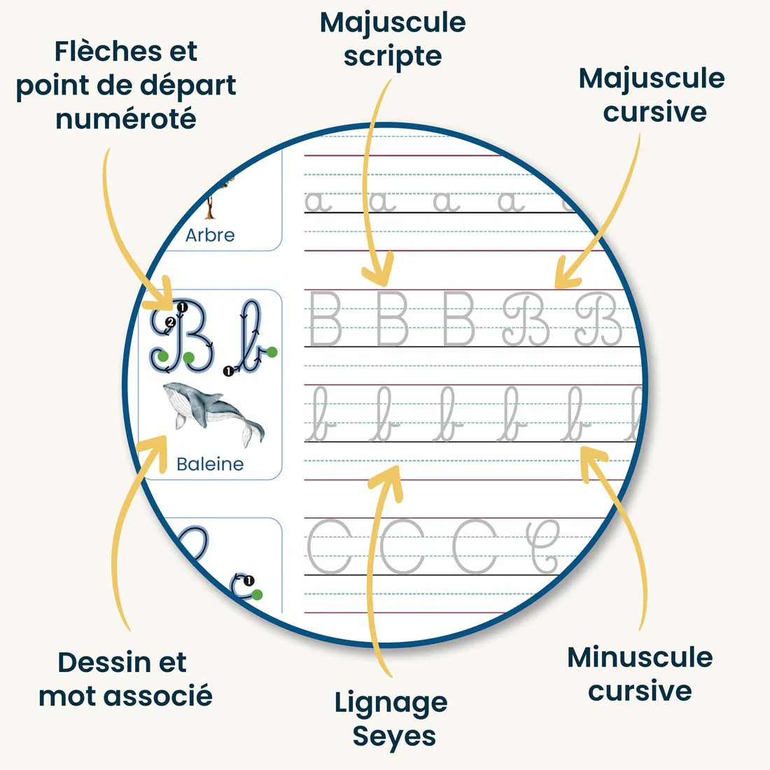 Cahiers Magiques Cursifs